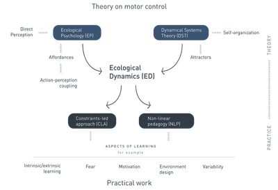 Flow chart of the main concepts of the website